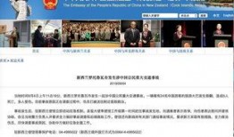 新西兰大使馆爆料视频,视频揭露不为人知的真相