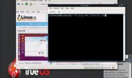 bsd最新爆料,揭秘科技巨头新动向与行业变革